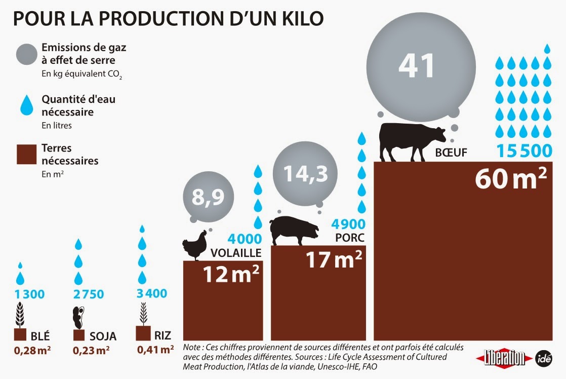 1%2Bkilo.jpg