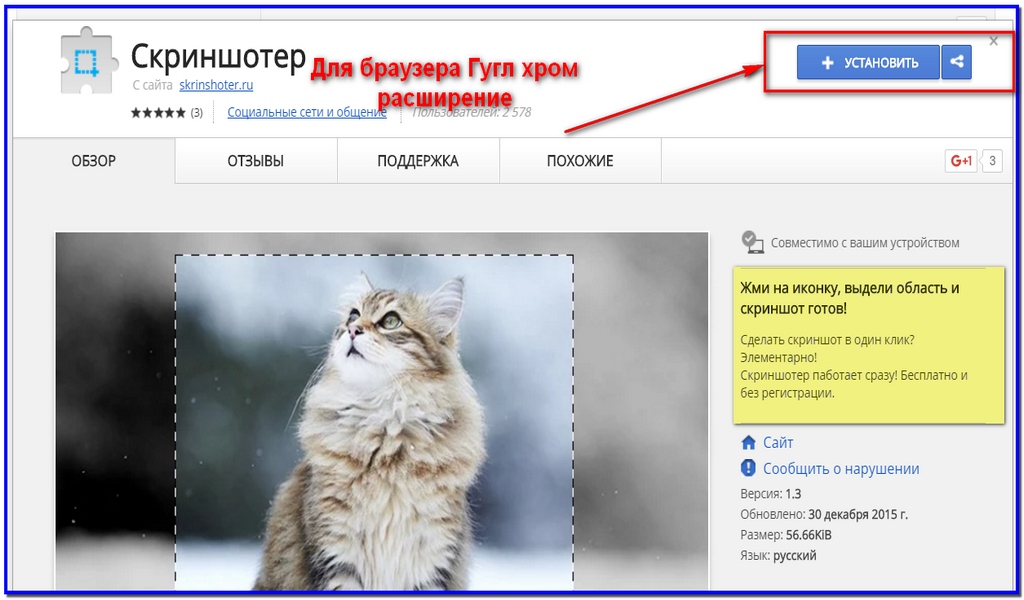 скриншотер сайт. скриншотер сайт. скриншотер рф. быстрый скриншотер. создание сайта скриншоты.