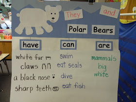 Polar bear homework help