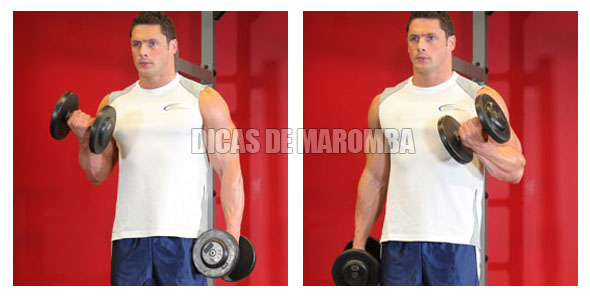 TREINO EM CASA PARA HIPERTROFIA exercício rosca alternada