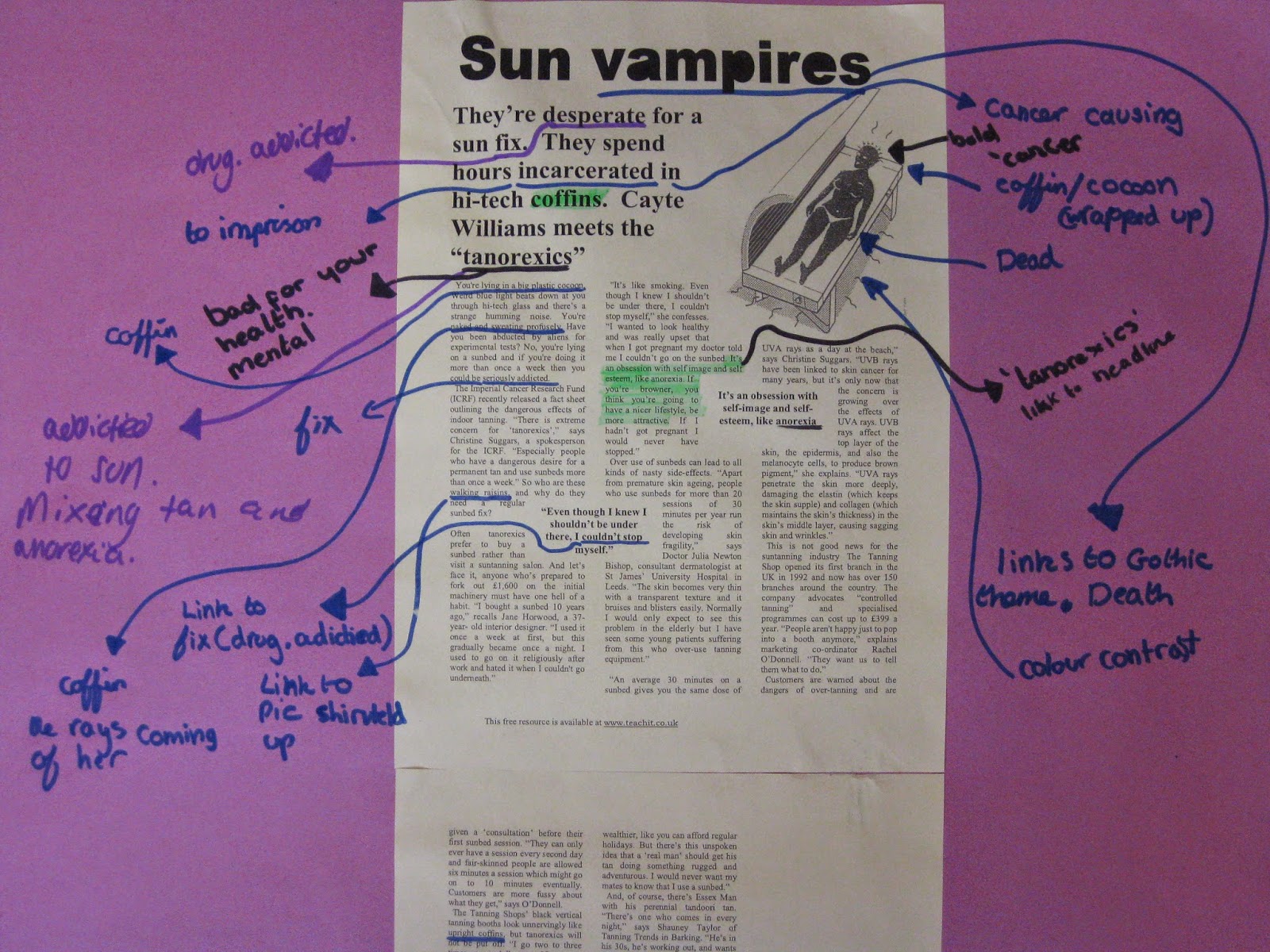 Sun vampiers essay 08 image