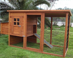 chicken coop chicks coops chickens plans designs diy cage simple chick enclosure hen build backyard cages run easy chickencoop own