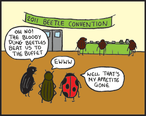 Bytes: Funny Friday dung beetle diagram 