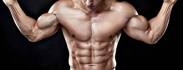 Ejercicios de brazos sin pesas para hombres Ejercicios de brazos sin pesas para hombres