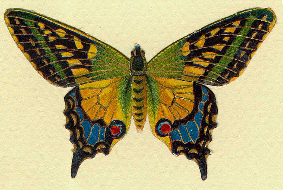 free vintage butterfly clipart - photo #18