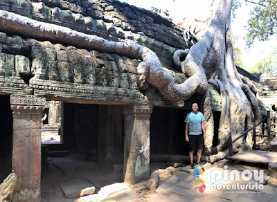 Angkor Wat Temples Complex Cambodia