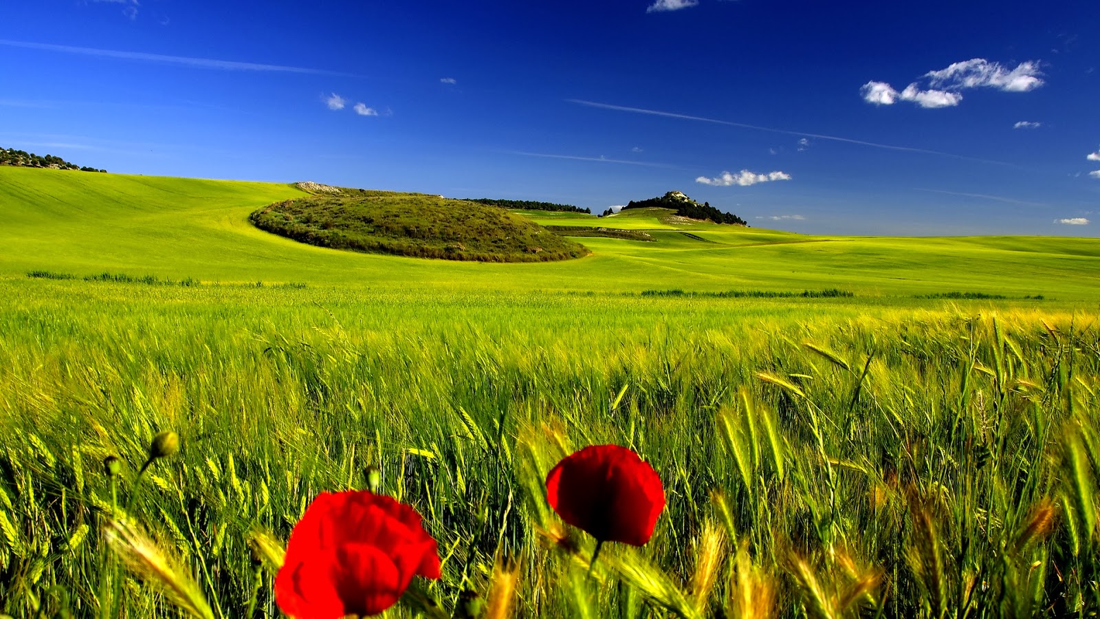 Los paisajes más hermosos del mundo (24 fotografías inéditas)