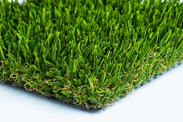 Natural grass in spring