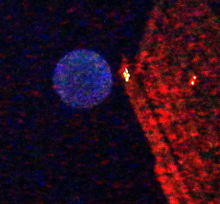 My Image 45
