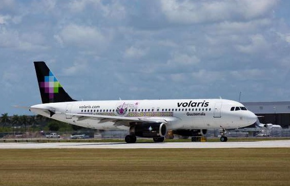 new flight simulator 2025