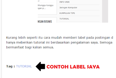 Contoh Label postingan ini pada blog saya Contoh Label postingan ini pada blog saya