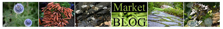 market blog collage 2