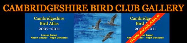 Cambridgeshire Bird Club Videos