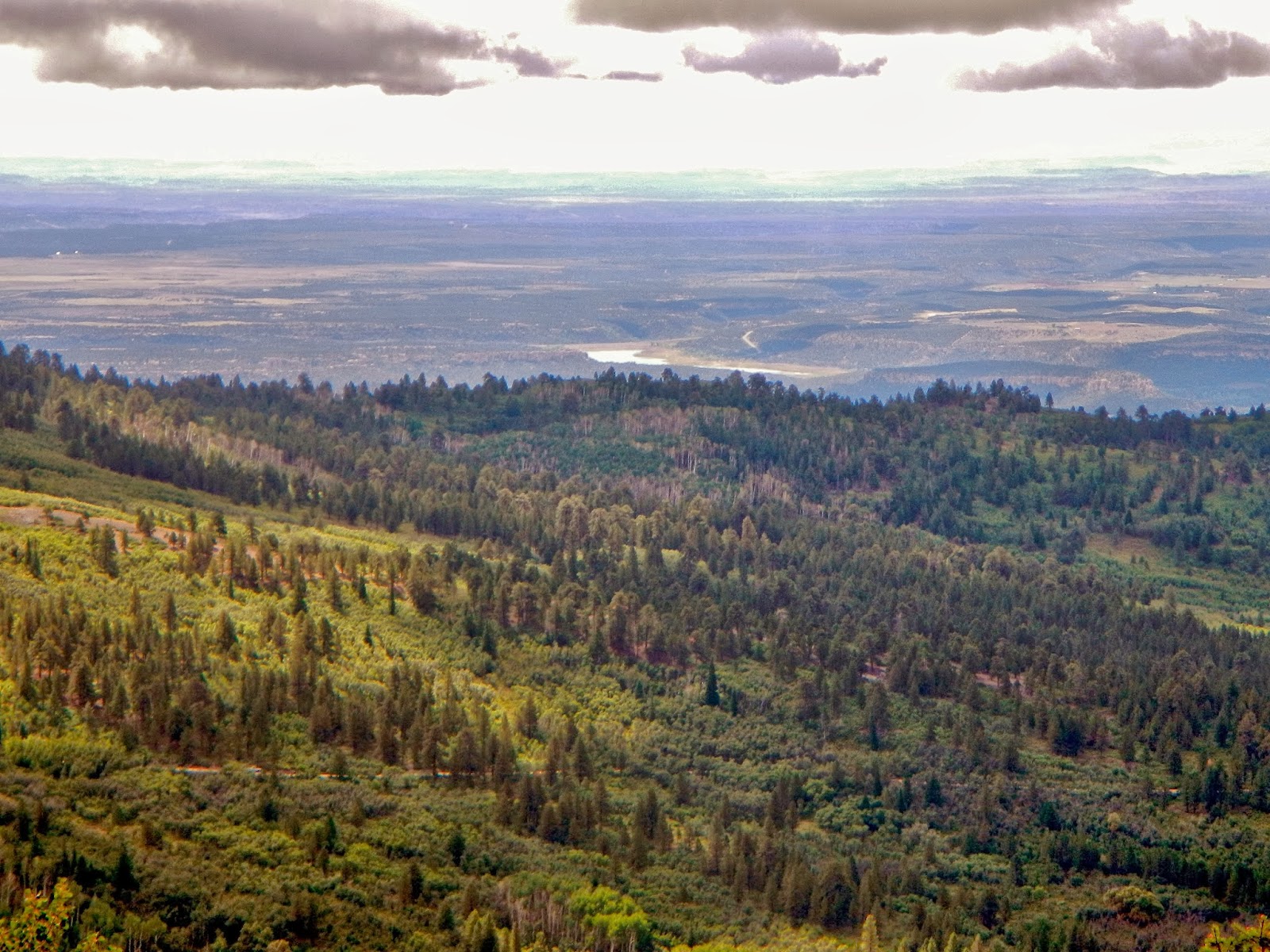 The Southwest Through Wide Brown Eyes: January 2014