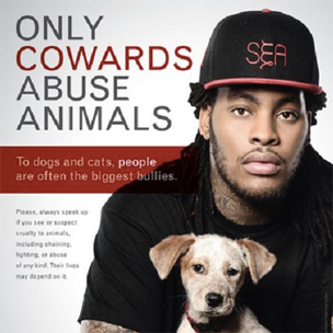 Only cowards abuse animals Campaing against animal cruelty