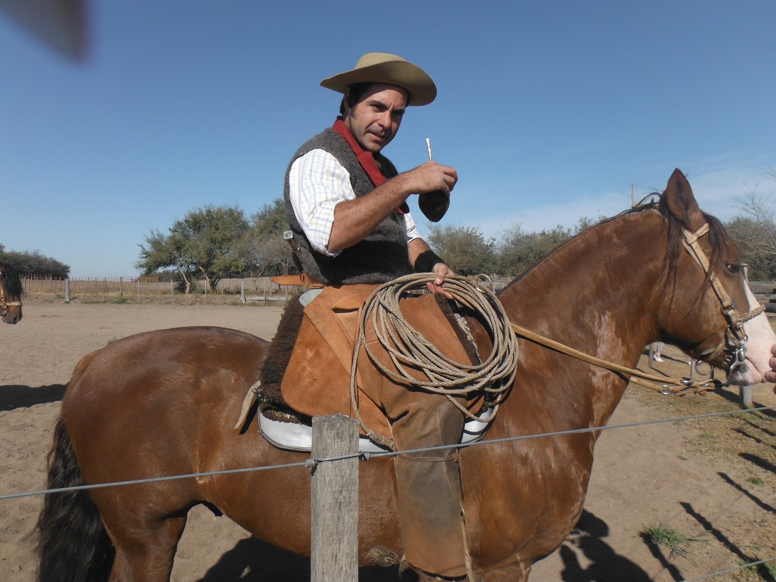 Vlega Gaucho