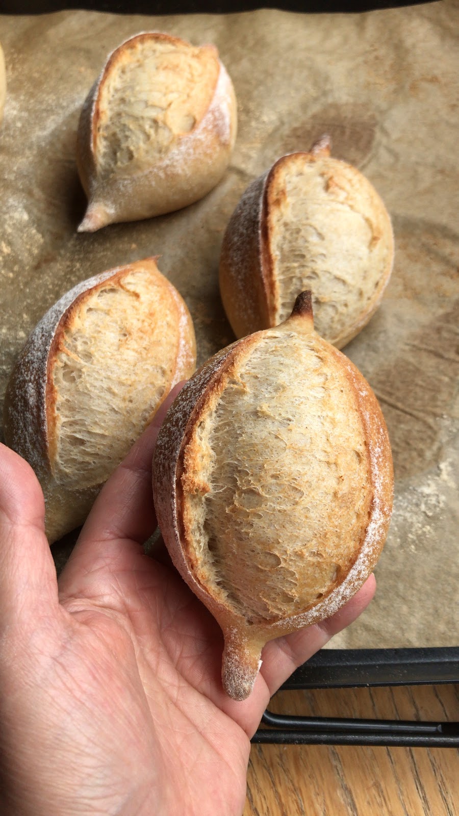 Bolillos, pan francés, pan de locha? Mis recetas favoritas by Hilmar