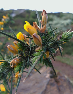 Argoma en La Arboleda Argoma en La Arboleda