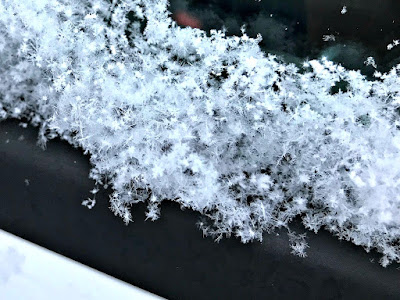 5 minutes of my day December 14, 2017 Enjoying the beauty of individual snowflakes