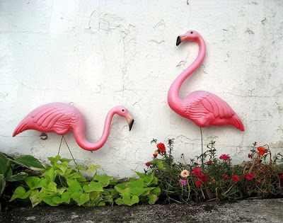 I go flamingo