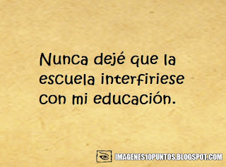 frases ironicas de amor frases ironicas de amor