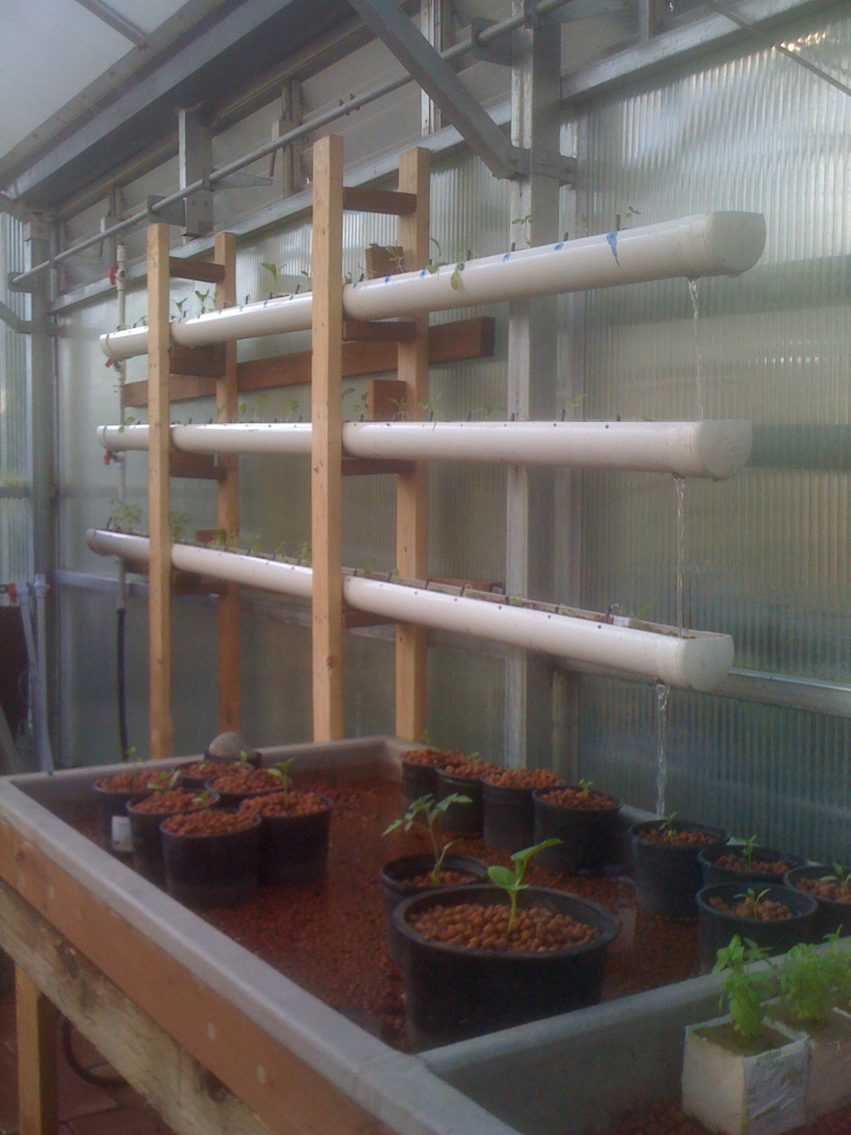 Hydroponics Blog Healthier Food Converting the Hydroponics System to