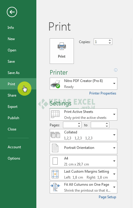 Cara Print Excel