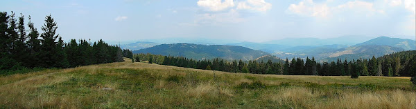 Północna panorama z Bendoszki Wielkiej.