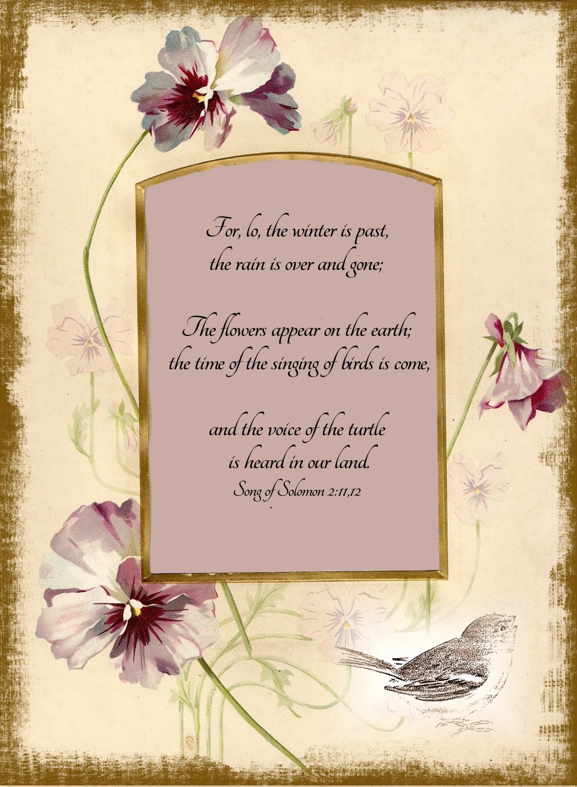 Little Birdie Blessings Scripture Thursday The Seasons Little Birdie Blessings Scripture Thursday The Seasons