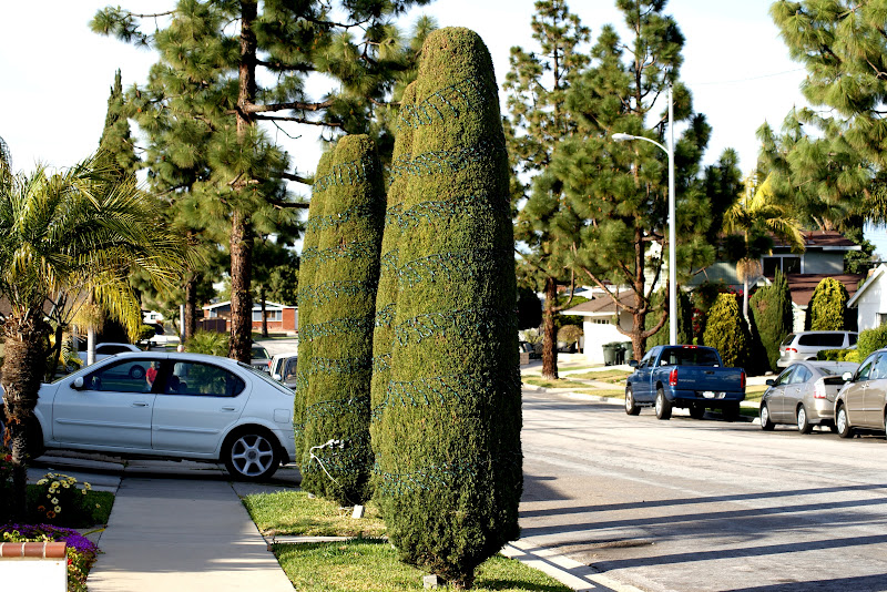 A photo, A thought............: Discovery: Incredible topiary designs