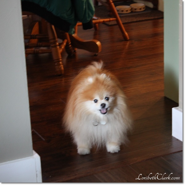 Learning how to use my DSLR camera Tia