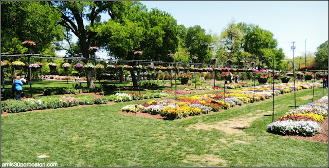 Dallas Arboretum & Botanical Garden: The Trial Gardens