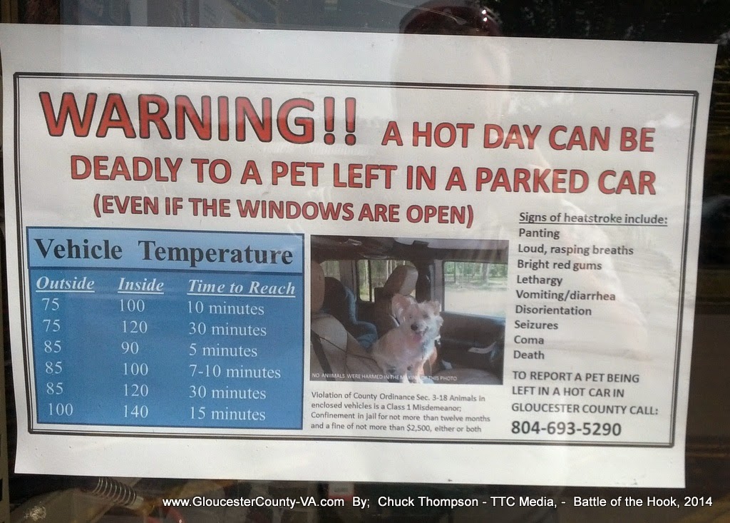 Gloucester VA Links and News Gloucester, VA Animal Control Retaliates