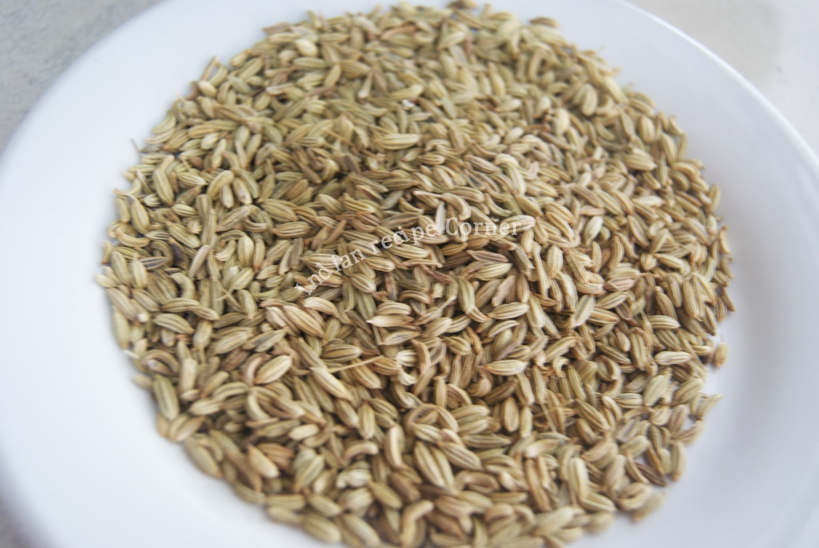 Indian Kitchen explored Fennel Seeds