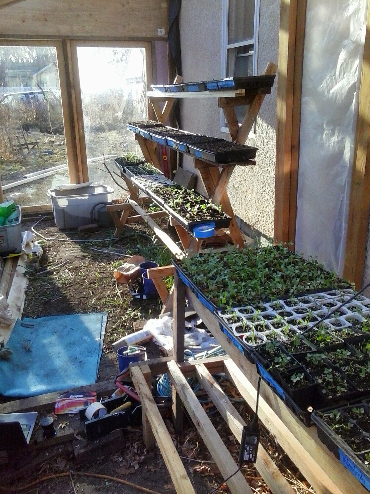 Off the Grid in Minneapolis My Greenhouse