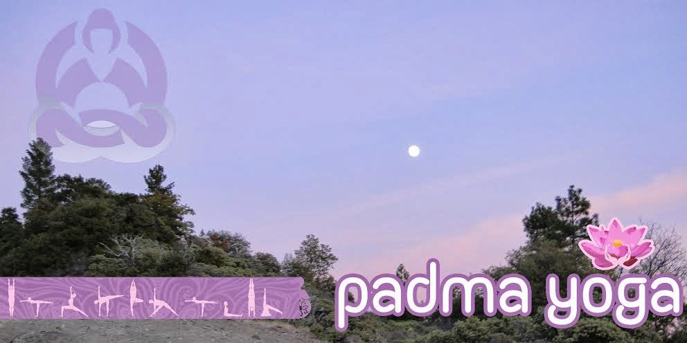 Centro Padma Yoga desde 2009