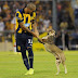 El perro en la cancha, un clásico sudamericano