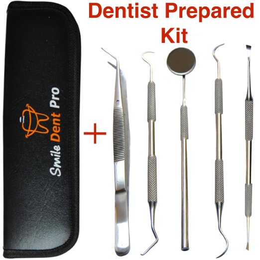 dental hygiene kit tools instruments hand hygienist cleaning plaque tartar scraper remove pick stainless grade steel