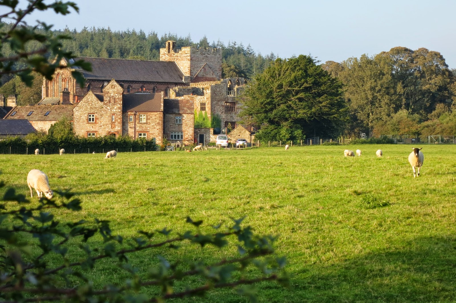 Sargent/Paget Mysteries Hamlet, Village, Town or City? All Smaller