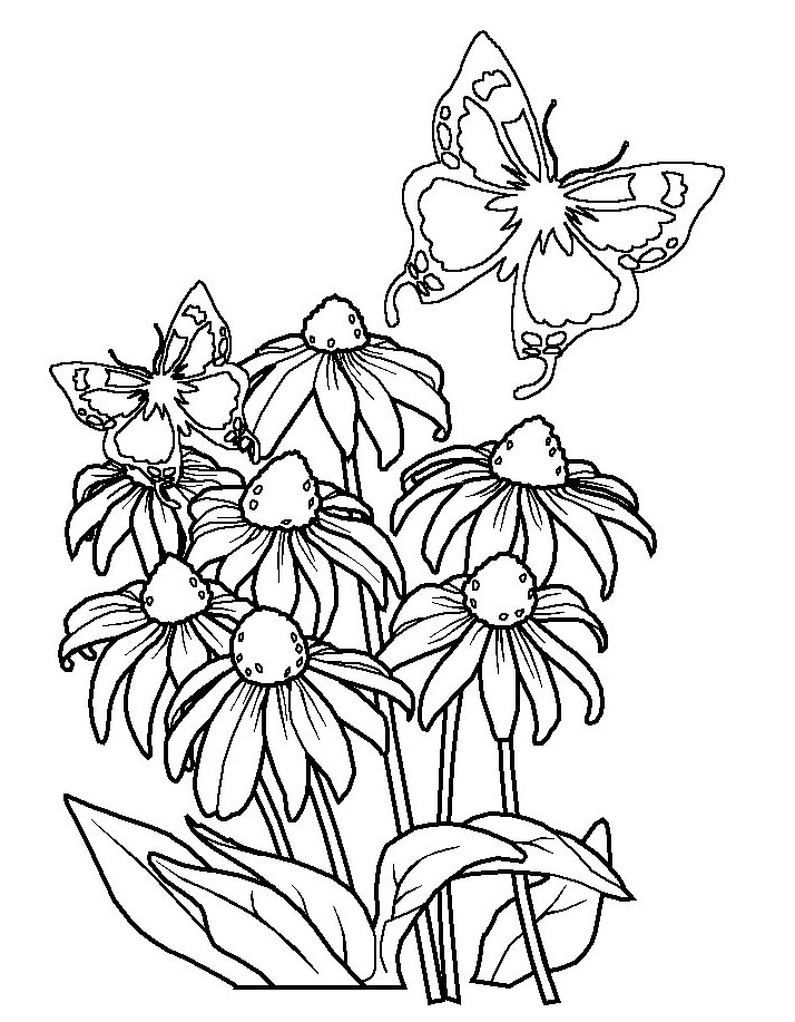 Gambar Mewarnai Bunga Matahari,Mawar,Tulip,Melati | gambarcoloring