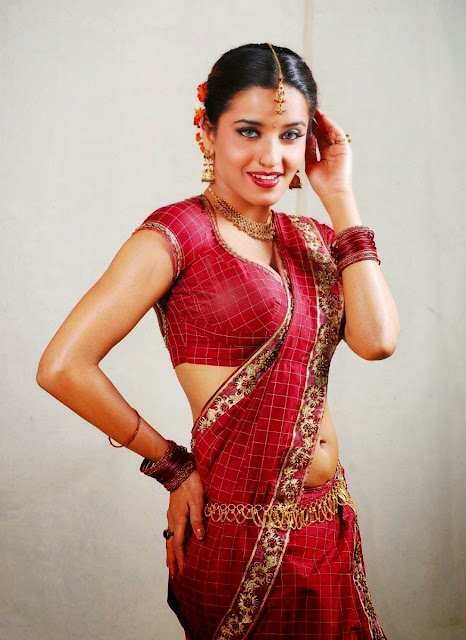 Monalisa (Antara Biswas) Hot Stills in Saree & Blouse