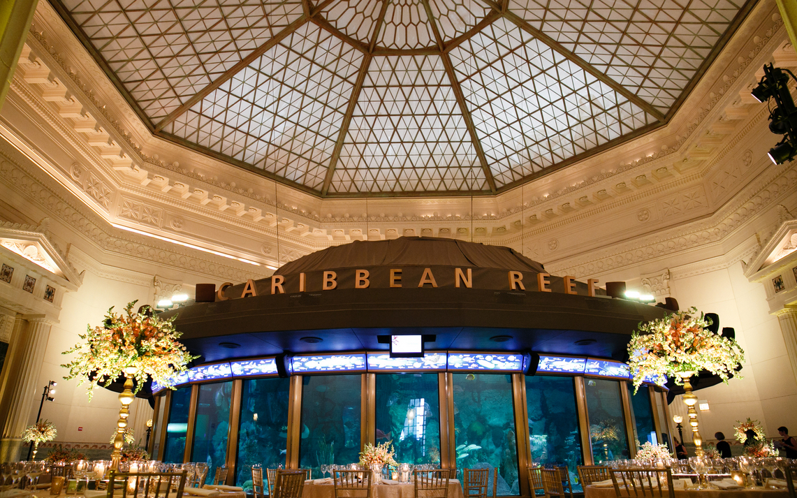 Shedd Aquarium Wedding Venue Shedd Aquarium Wedding Venue