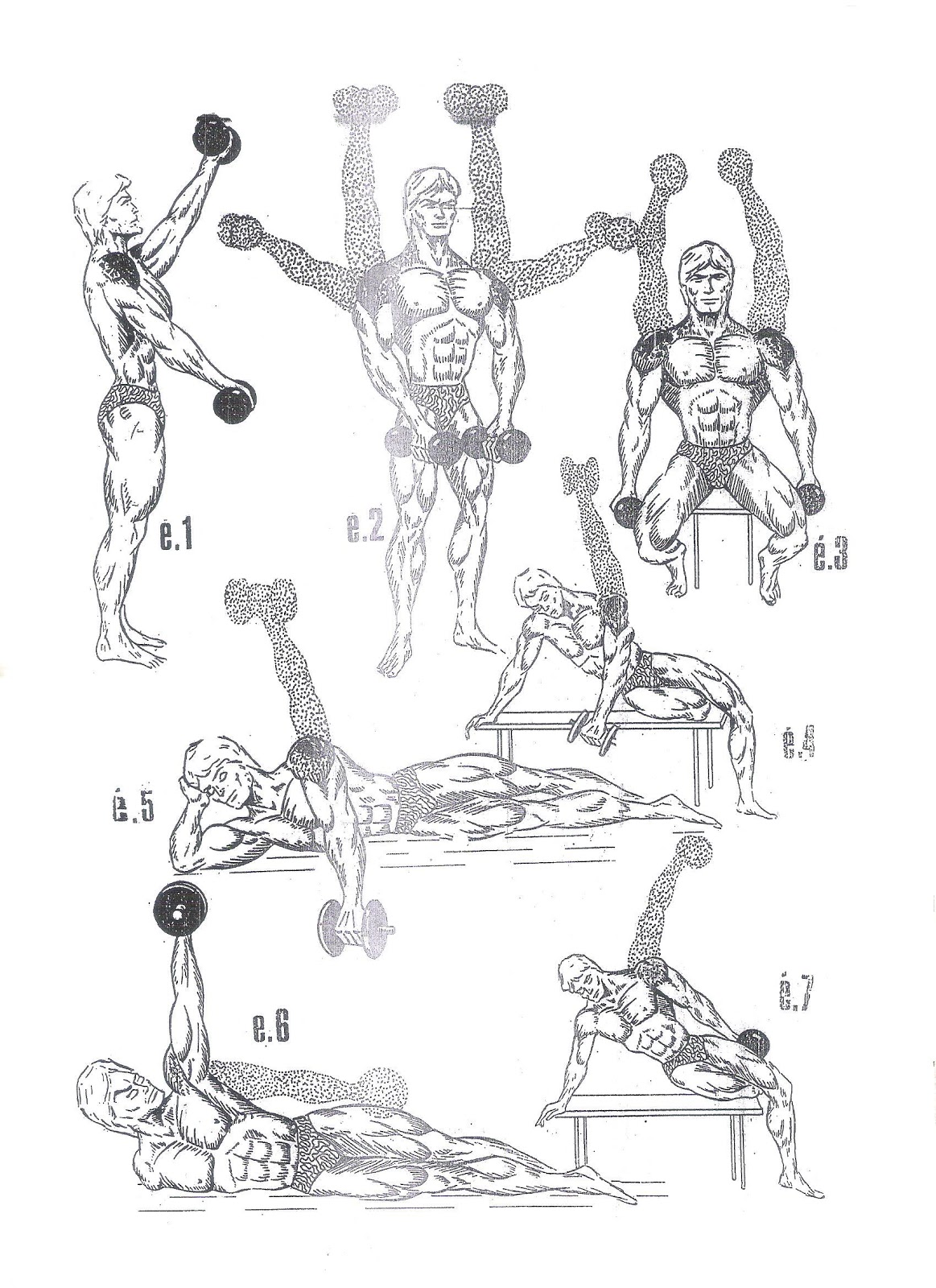 Healthy N Fit Sets for Shoulder workout