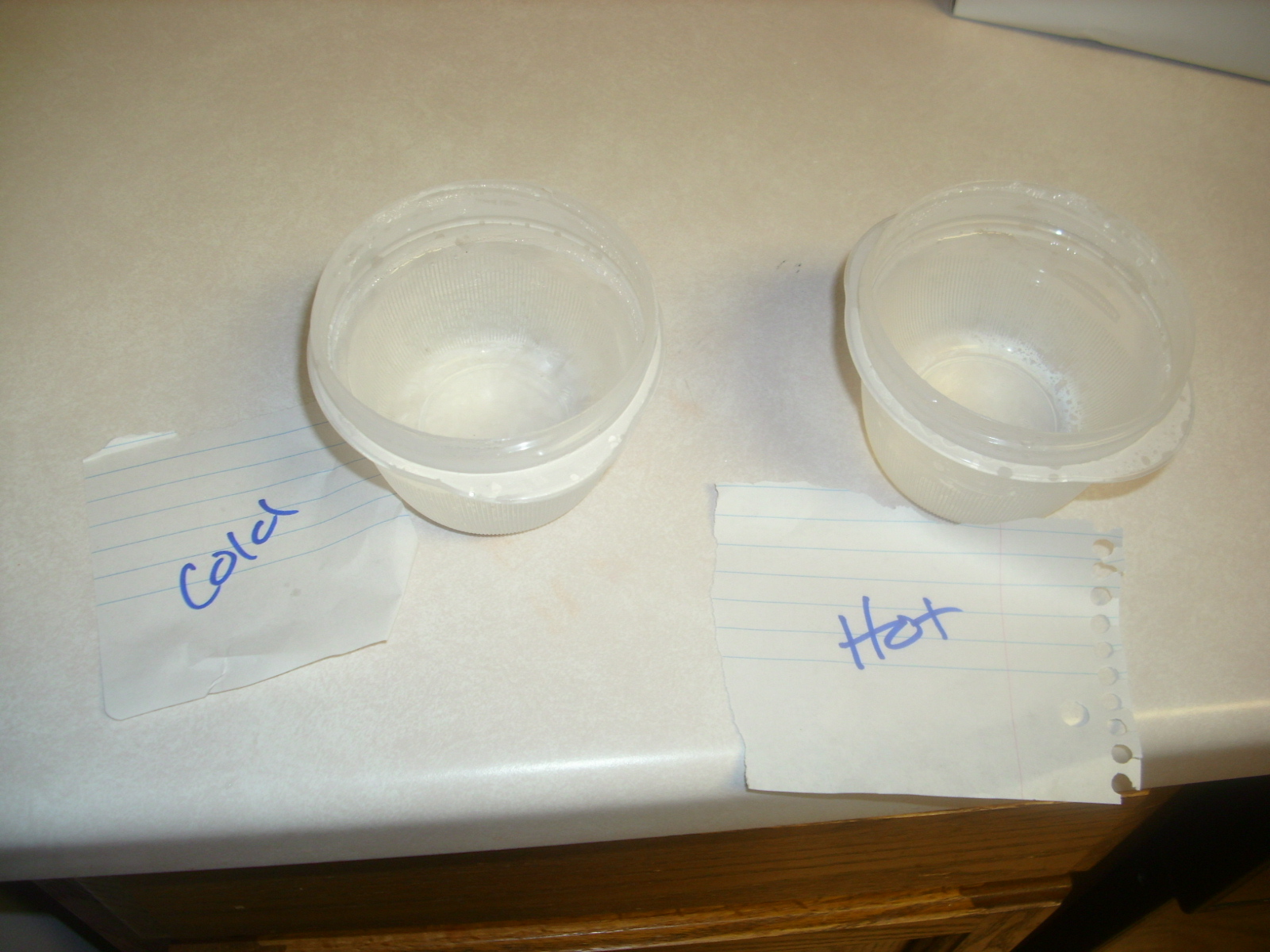 Chemistry Activity 1