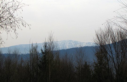 Babia Góra z polanki pod szczytem Solnisk.