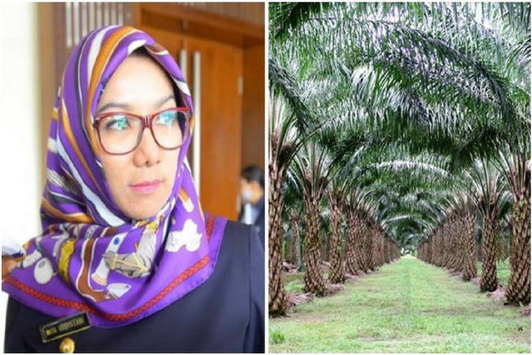 Rita Widyasari, Bupati Cantiknya Kebangetan yang Dipaksa “Copot Seragam” oleh Atasan Rita Widyasari, Bupati Cantiknya Kebangetan yang Dipaksa “Copot Seragam” oleh Atasan