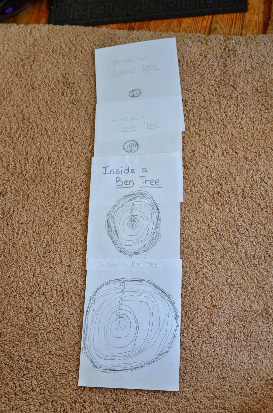 Leading Them To The Rock : Tree Study. Tree Rings K-1 Lesson