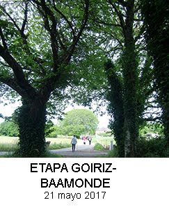 Etapa Goiriz- Baamonde