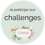 Challenge COM.16