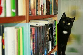 YA Fiction Giveaways